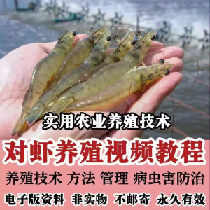 对虾养殖技术视频教学教程水质管理日常养护疾病防治南美白素材-黄师爷营销圈