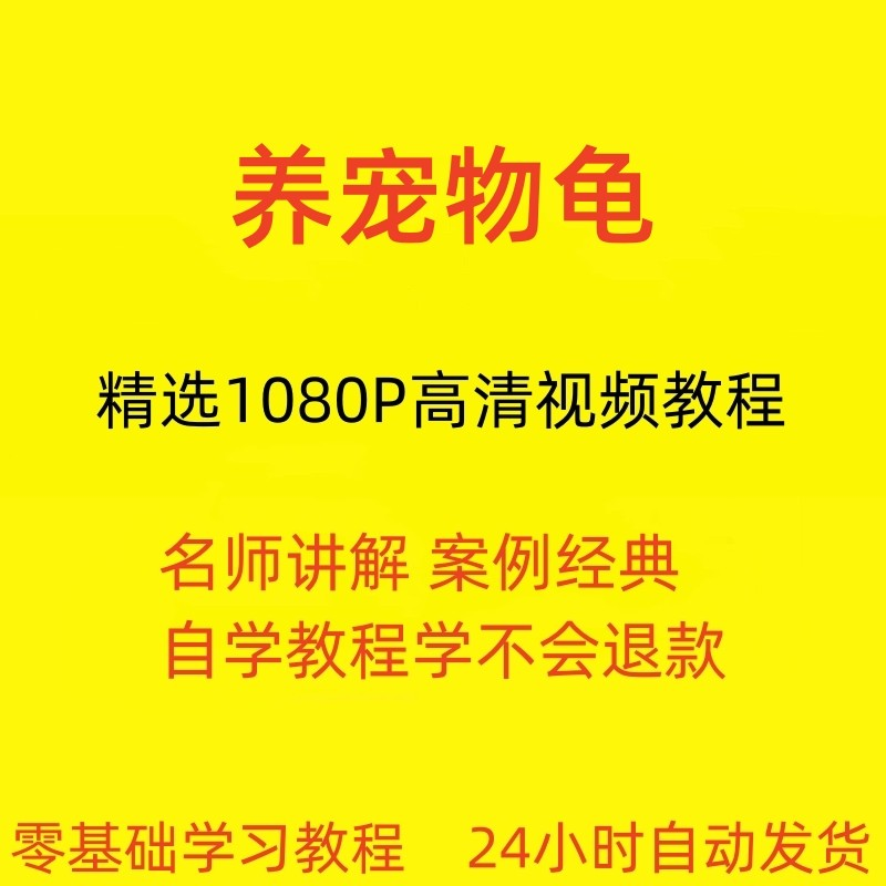 养宠物龟饲养视频教程全套从入门到精通技巧培训学习在线课程-黄师爷营销圈