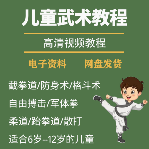 少儿童武术视频教程零基础自学咏春散打擒拿泰拳跆拳道防身术课程-黄师爷营销圈
