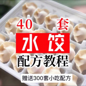 【0.01秒发】40套水饺技术配方 特制技术视频教程-黄师爷营销圈