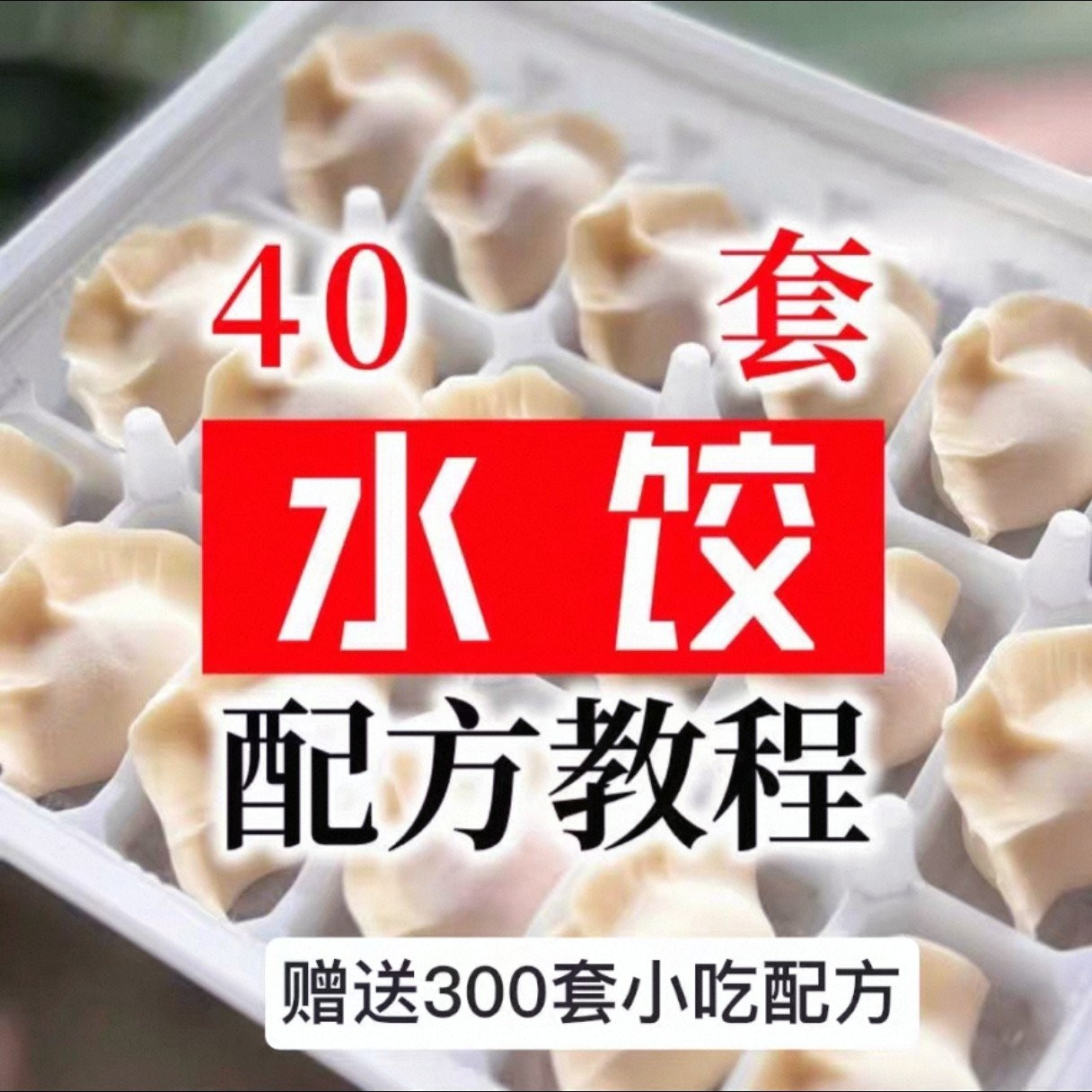 【0.01秒发】40套水饺技术配方 特制技术视频教程-黄师爷营销圈